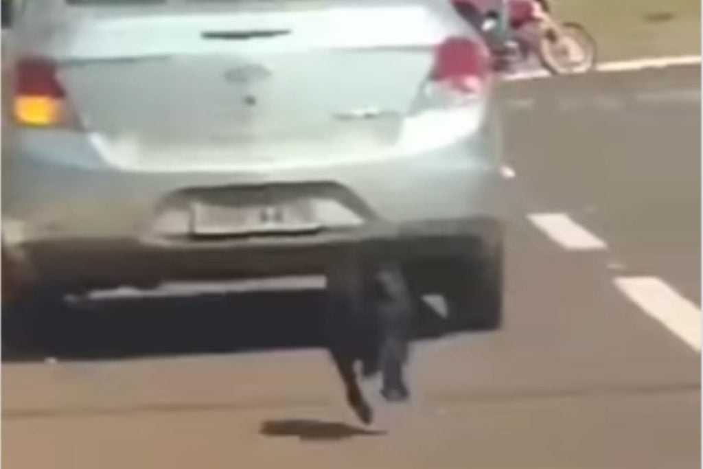 Vídeo mostra cãozinho correndo atrás de carro após ser abandonado no