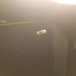45E566C7-CAEC-4976-888C-4E9887AEE009