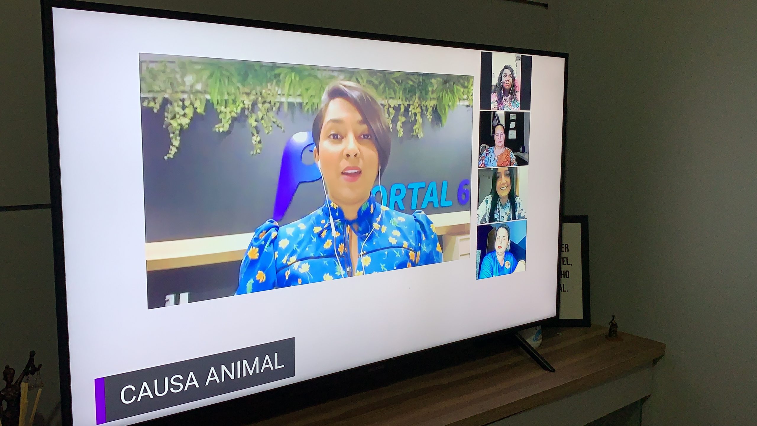 Os principais temas discutidos em debate do Portal 6 com candidatas da Causa Animal