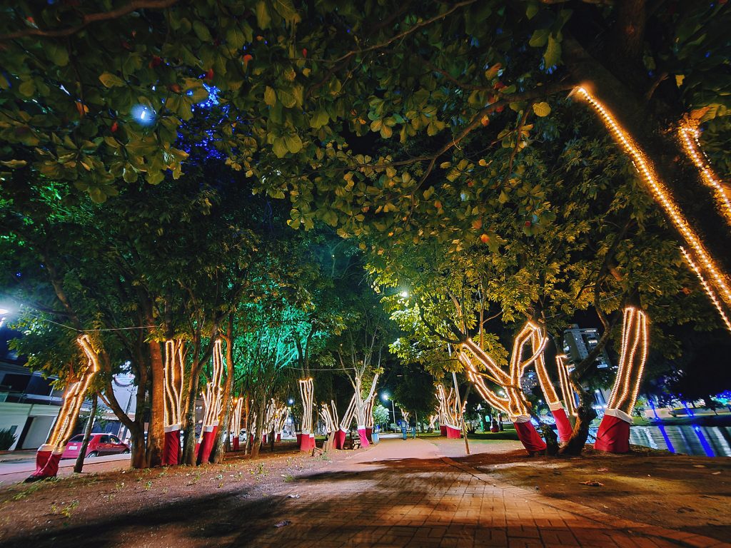 InShot 20201210 000222639