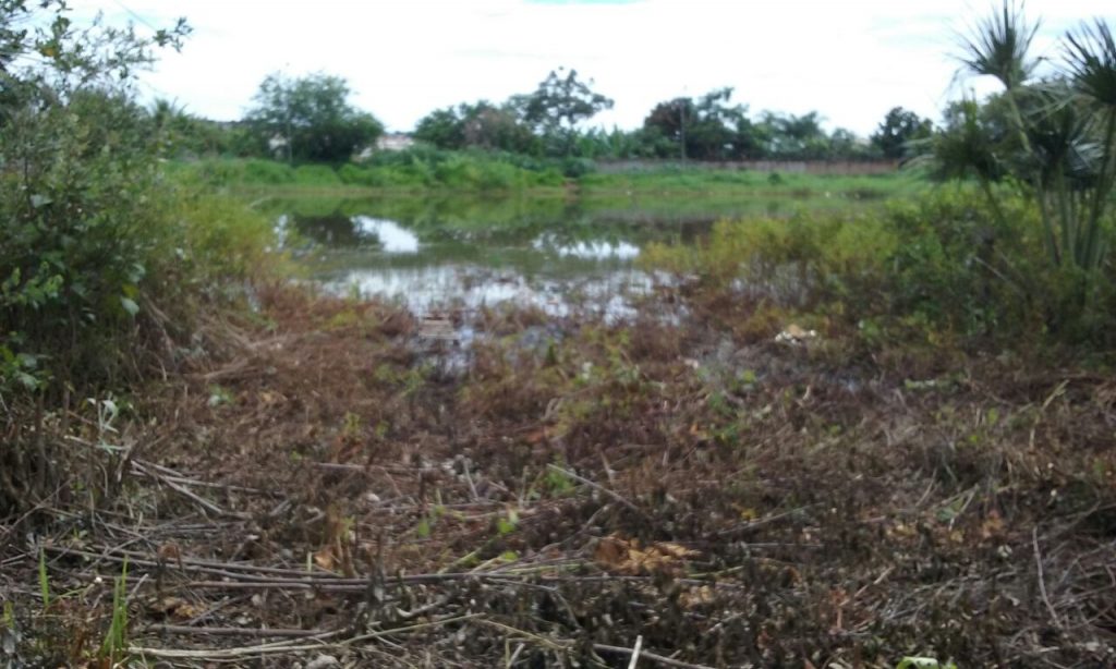 Construção de parque ambiental na região do Filostro e Parque Brasília deve começar ainda este ano