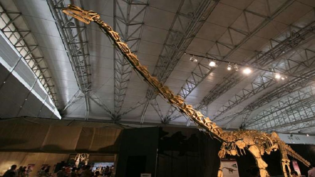 Cientistas anunciam descoberta de fóssil do maior dinossauro do Brasil