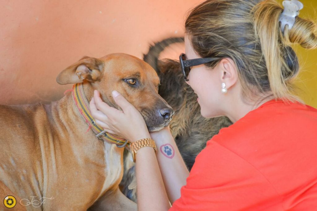 Vereadora faz campanha para Anápolis ter delegacia de crimes contra animais