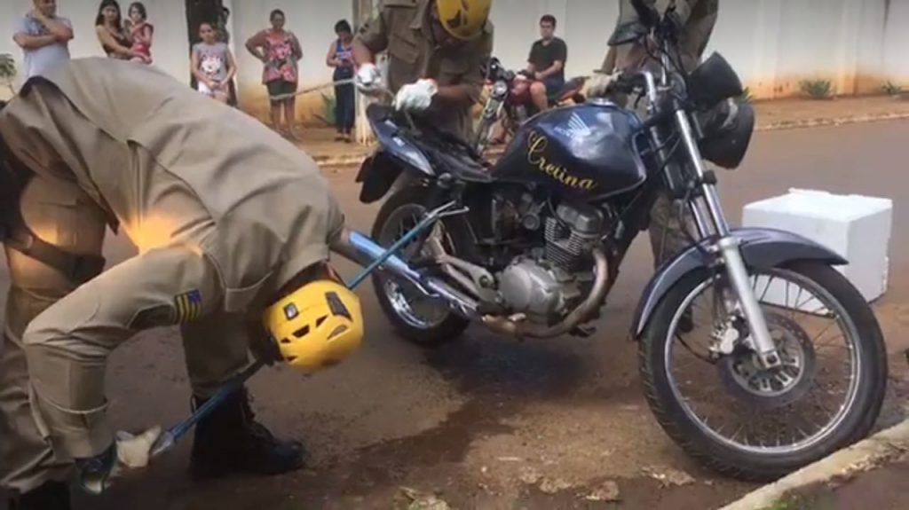 Cobra se esconde dentro de moto e para bairro em Anápolis