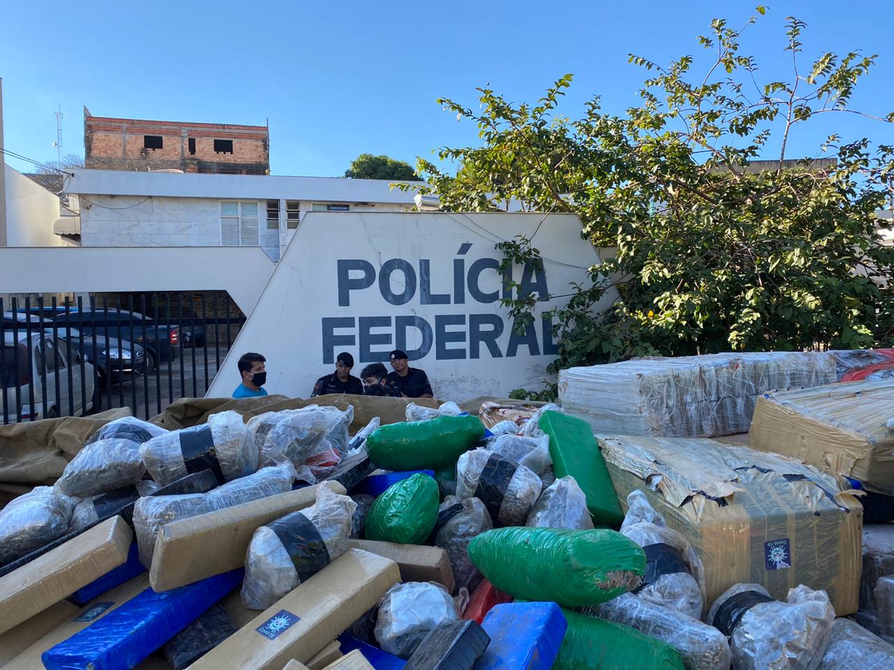 A assustadora quantidade de maconha que a CPE Trindade encontrou em distrito de Anápolis