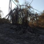 Incendio zona rural de anapolis