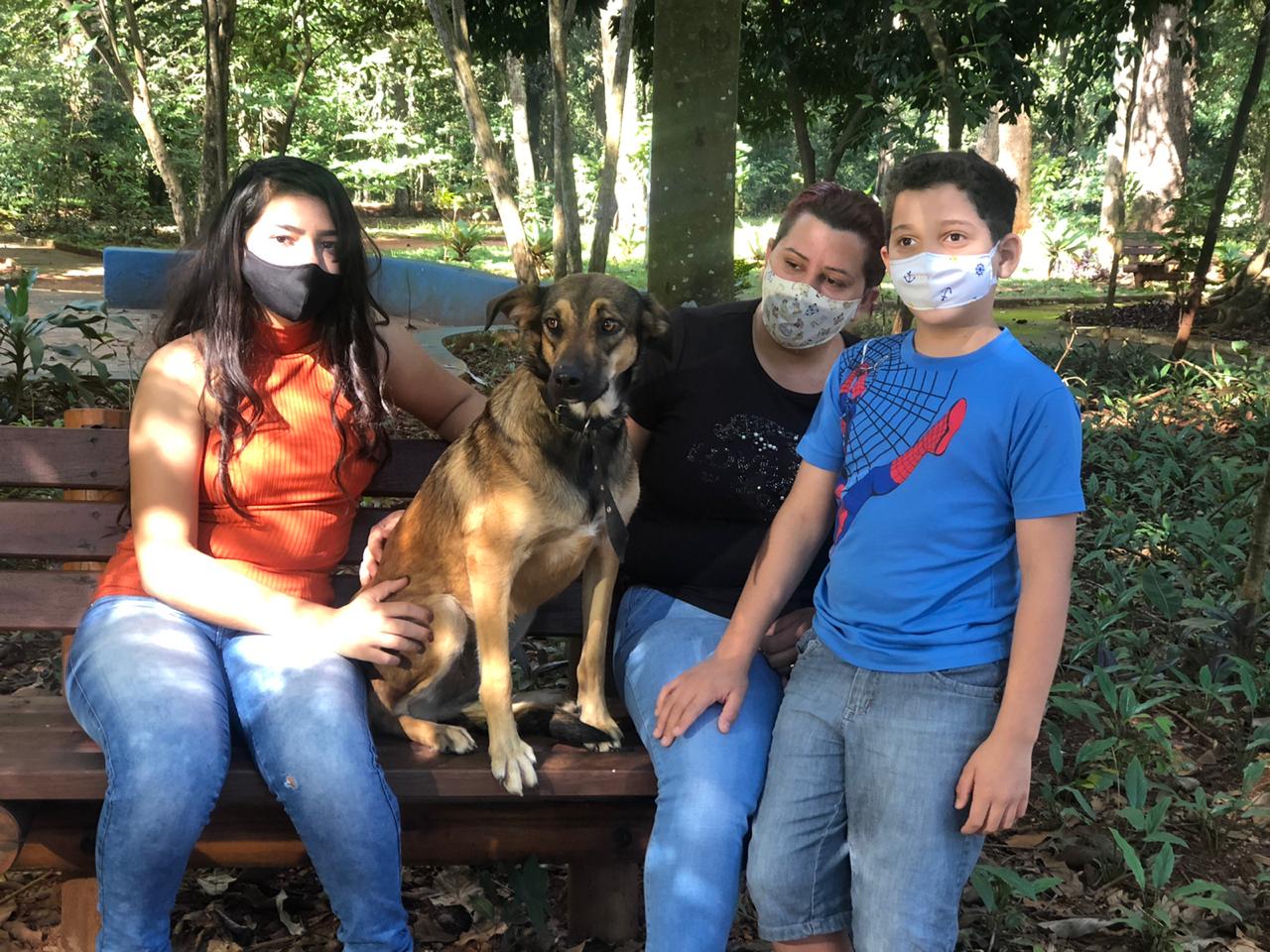 Adotada, cadelinha que perdeu dono em Anápolis já está feliz e brincando