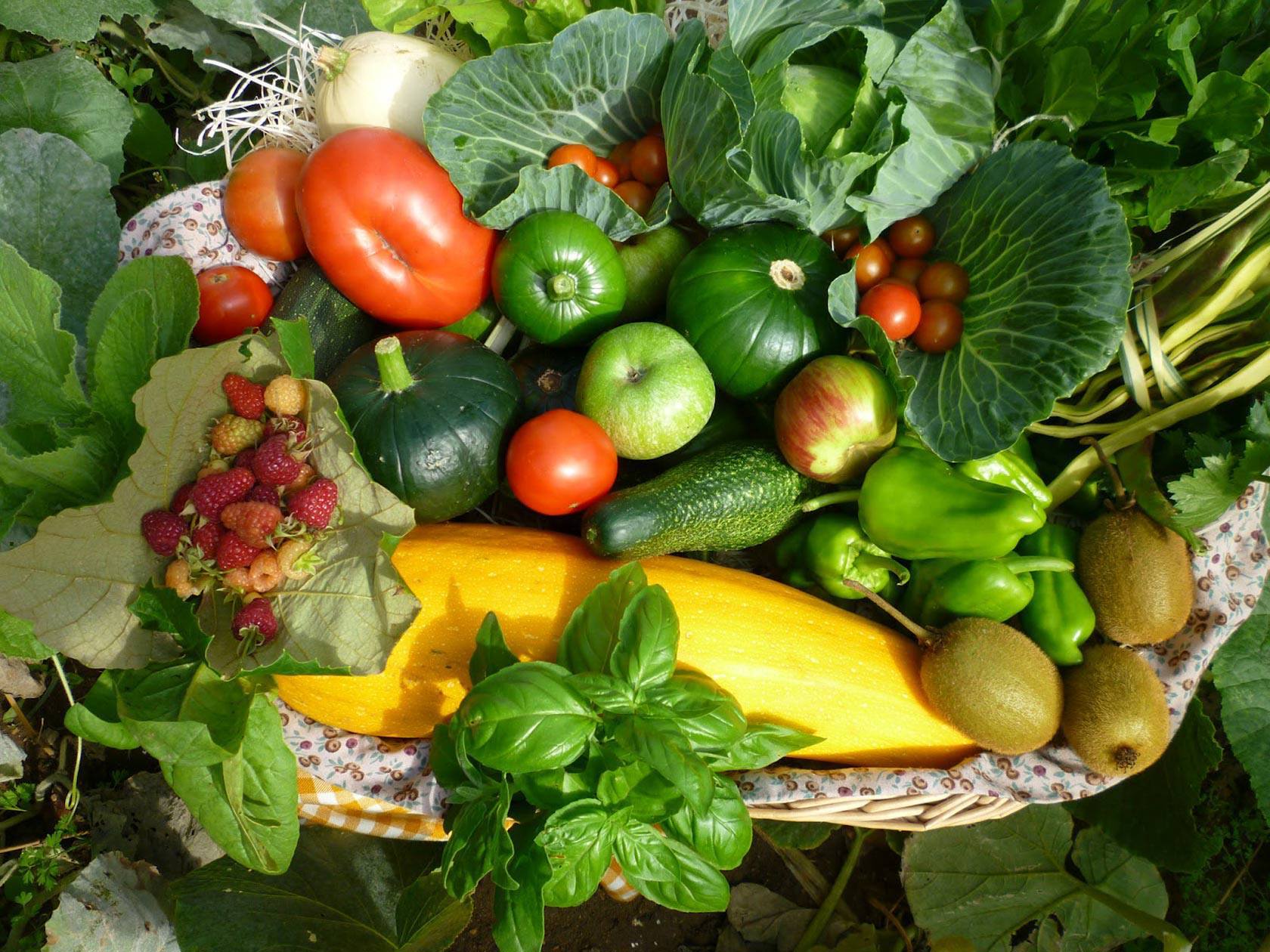 Cursos gratuitos de produção de peixes e agricultura orgânica em Anápolis