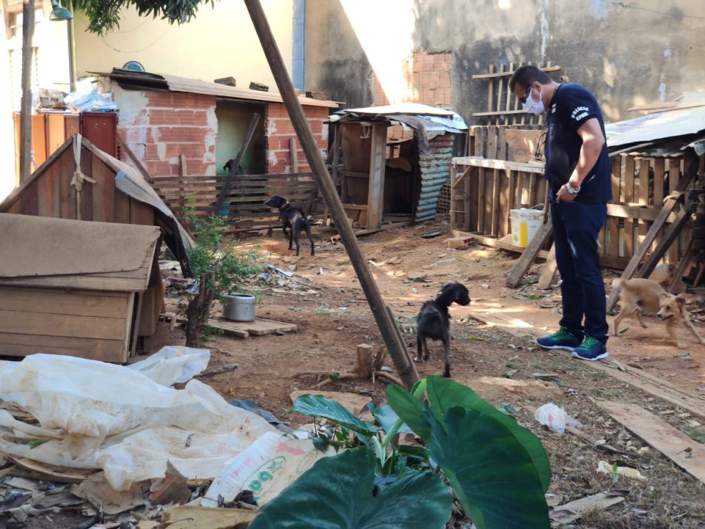 PC encontra casa em Anápolis com mais de 30 cães e gatos em situação precária