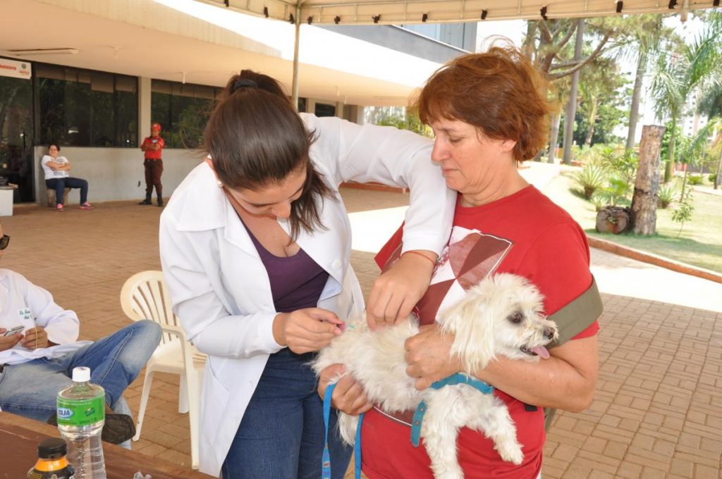 Campanha contra raiva animal é antecipada em Anápolis