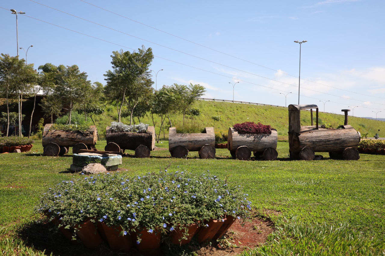 Este novo paisagismo está se espalhando por Anápolis e deixando a cidade mais bonita