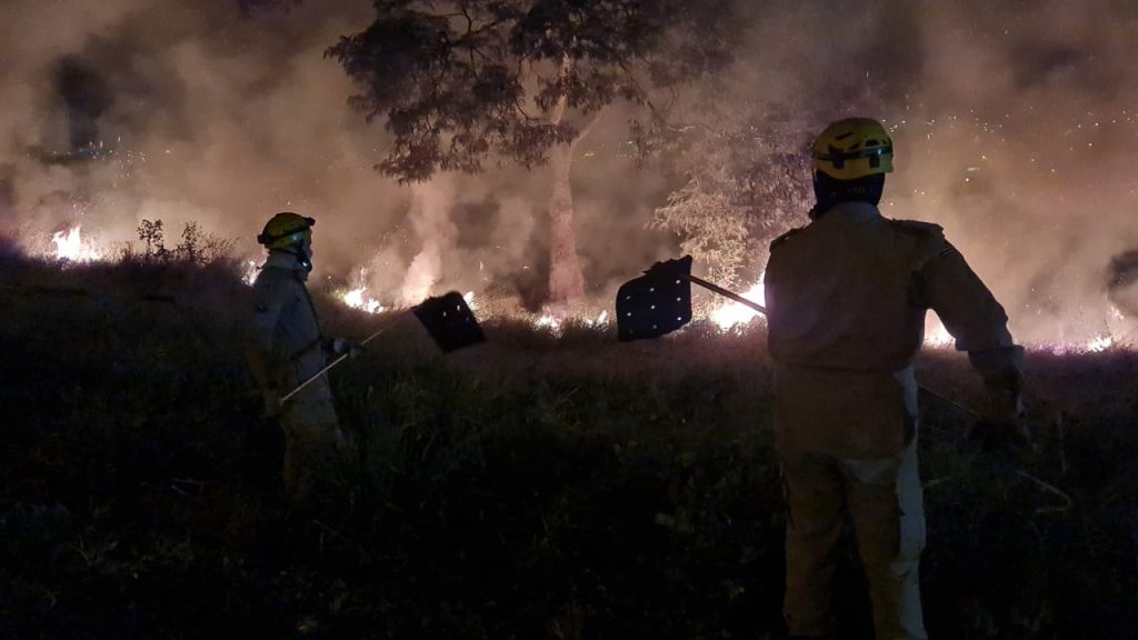 Mata em Anápolis é tomada pelo fogo e vizinhos acionam o Corpo de Bombeiros