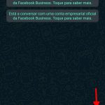 Chega nova função WhatsApp para quem quer poder ouvir os áudios antes de enviar