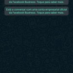 Chega nova função WhatsApp para quem quer poder ouvir os áudios antes de enviar