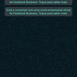 Chega nova função WhatsApp para quem quer poder ouvir os áudios antes de enviar