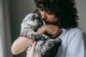 Veterinários explicam por que os gatos amassam os donos com as patas e o que isso significa