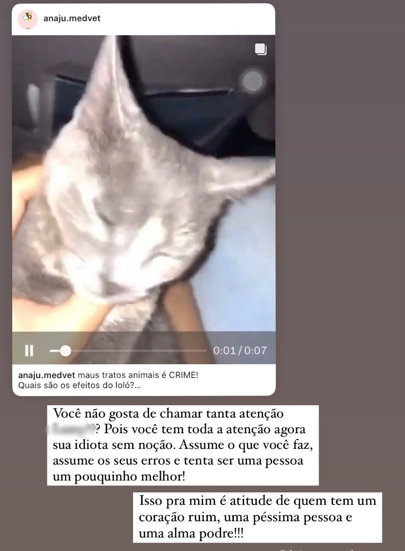 Polícia investiga se mulher aparece em vídeo dando loló a gatinho