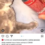 lolo1