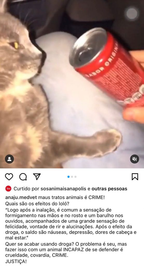 lolo1