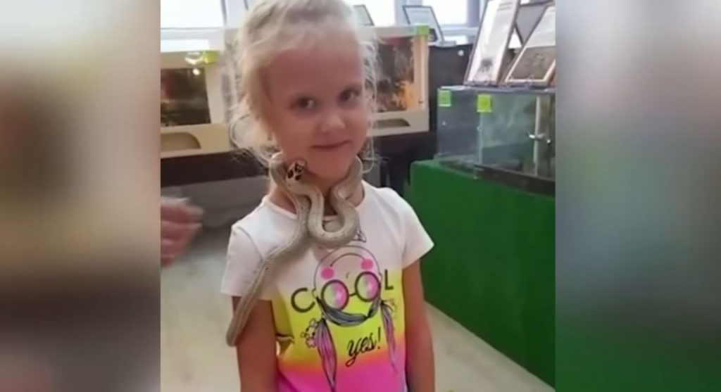 Criança leva bote de cobra venenosa durante visita em zoológico e vídeo flagra o momento