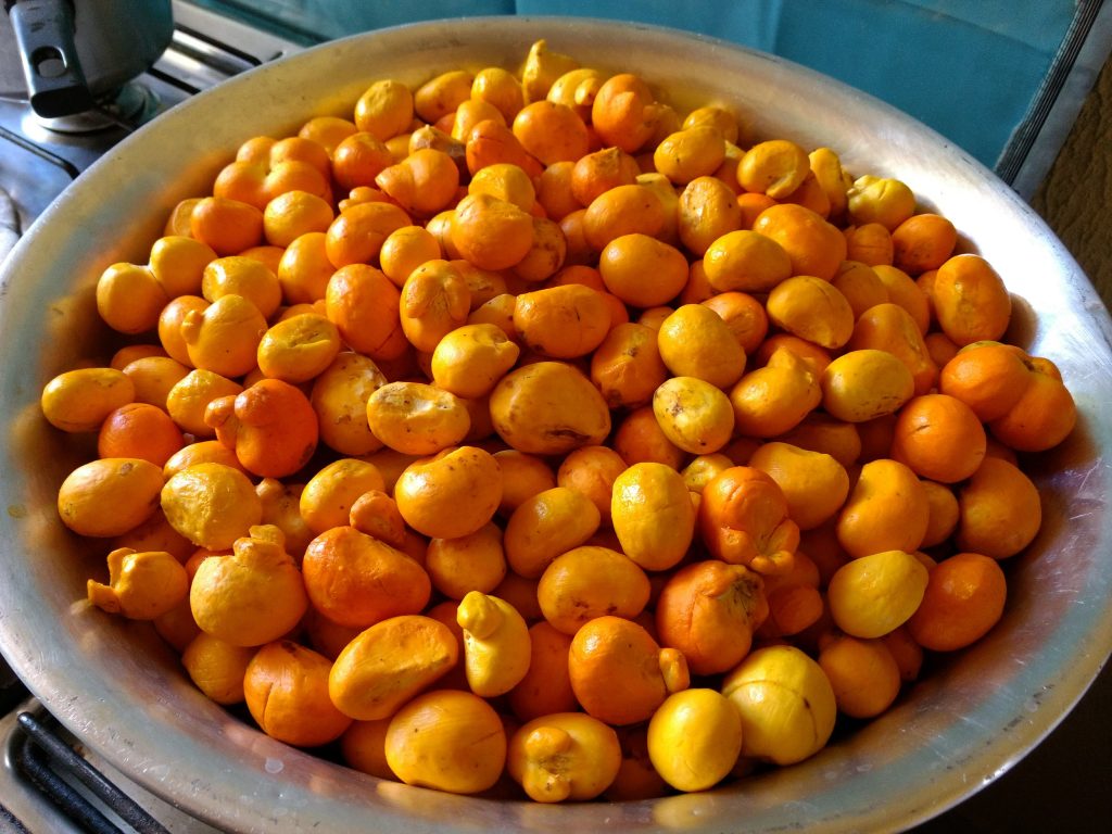 6 frases que só quem é goiano de verdade entende sem pensar duas vezes