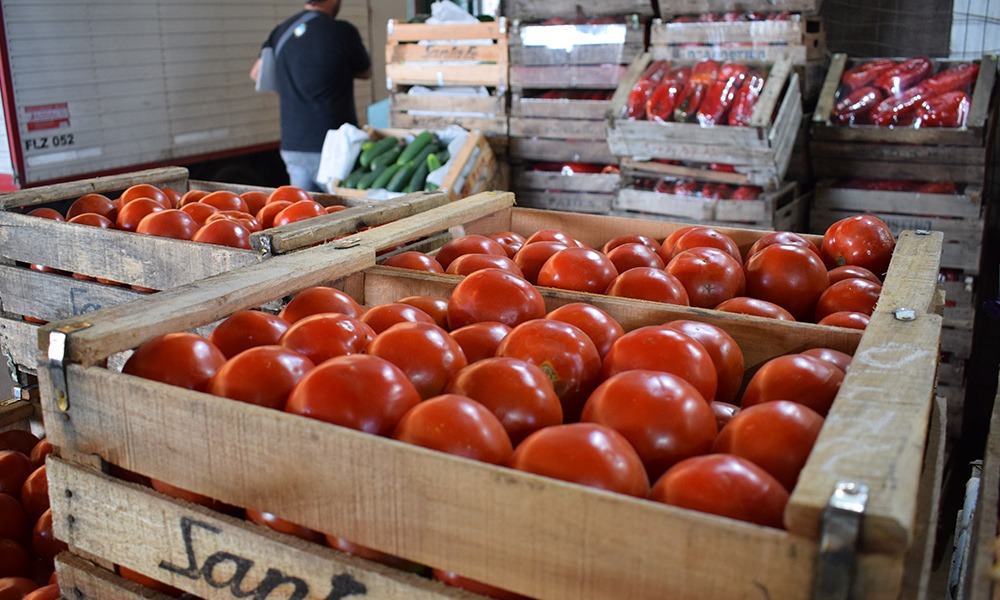 Como escolher bons tomates no mercado e na feira? Veja dicas para não ser enganado