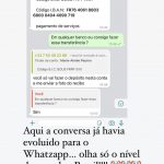 Diálogo entre advogada 'golpista' e confeiteira anapolina. (Foto: Reprodução)