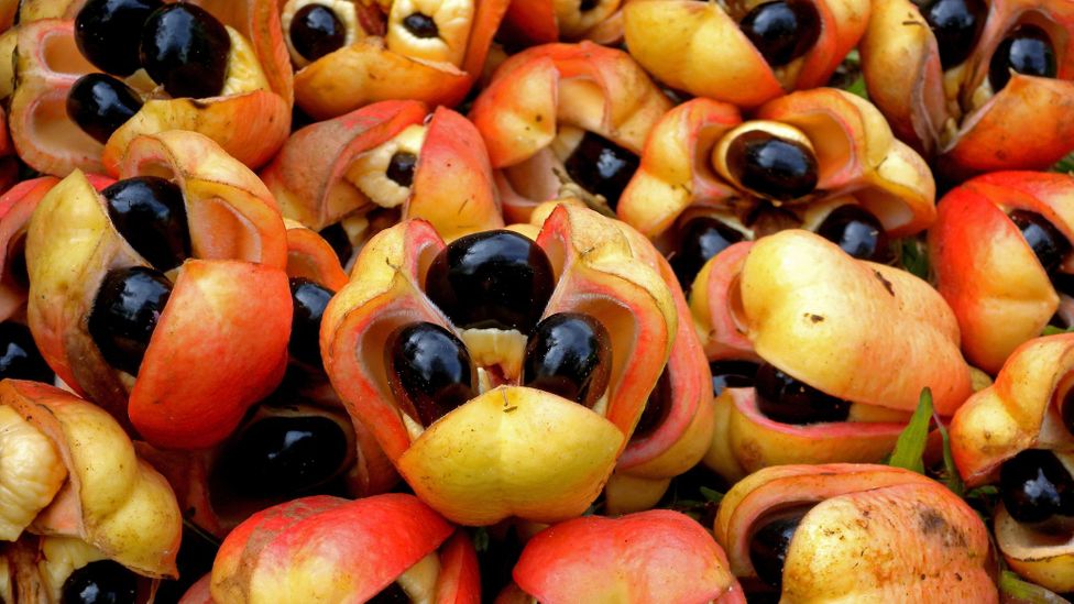 6 frutinhas perigosas que você jamais deve consumir