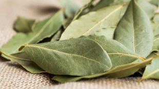 Planta aromática para atrair prosperidade, equilíbrio e abundância financeira