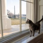 2022-01-28t104016z-227027806-rc2a8s9qwtd6-rtrmadp-3-usa-biden-cat