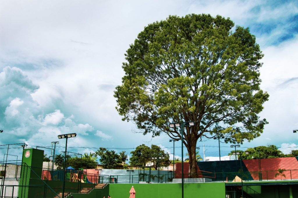 Avant Tennis