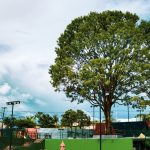 Avant Tennis
