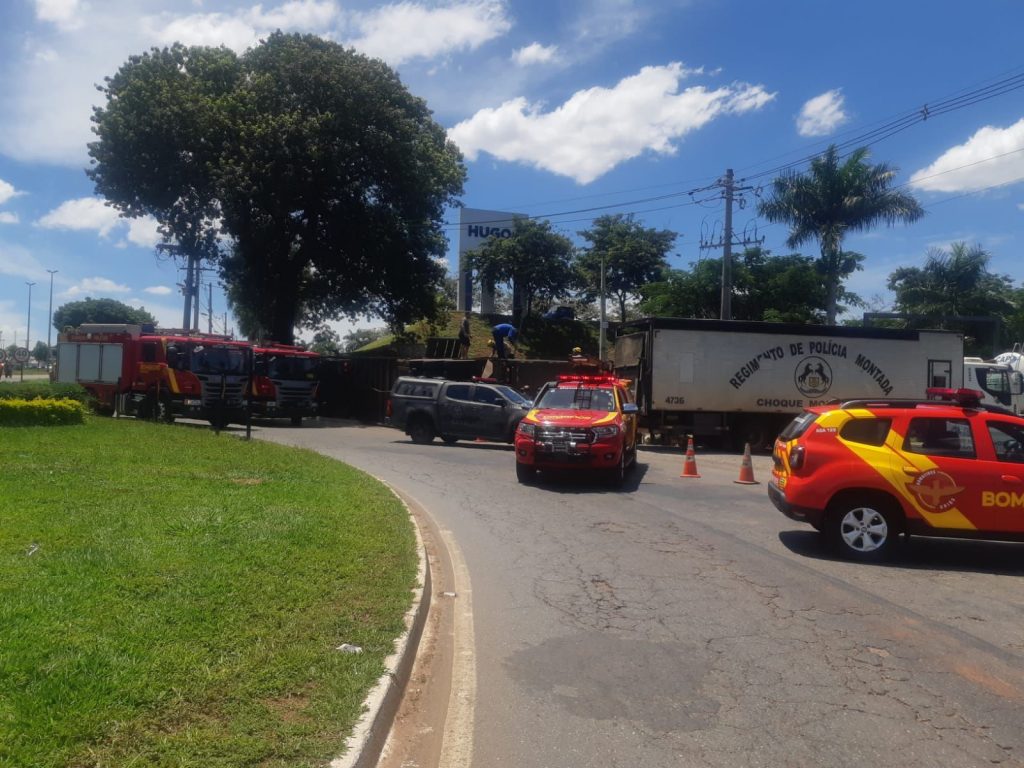 bombeiros vacas