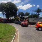 bombeiros vacas