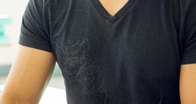 6 formas rápidas e infalíveis de se remover pelo das roupas