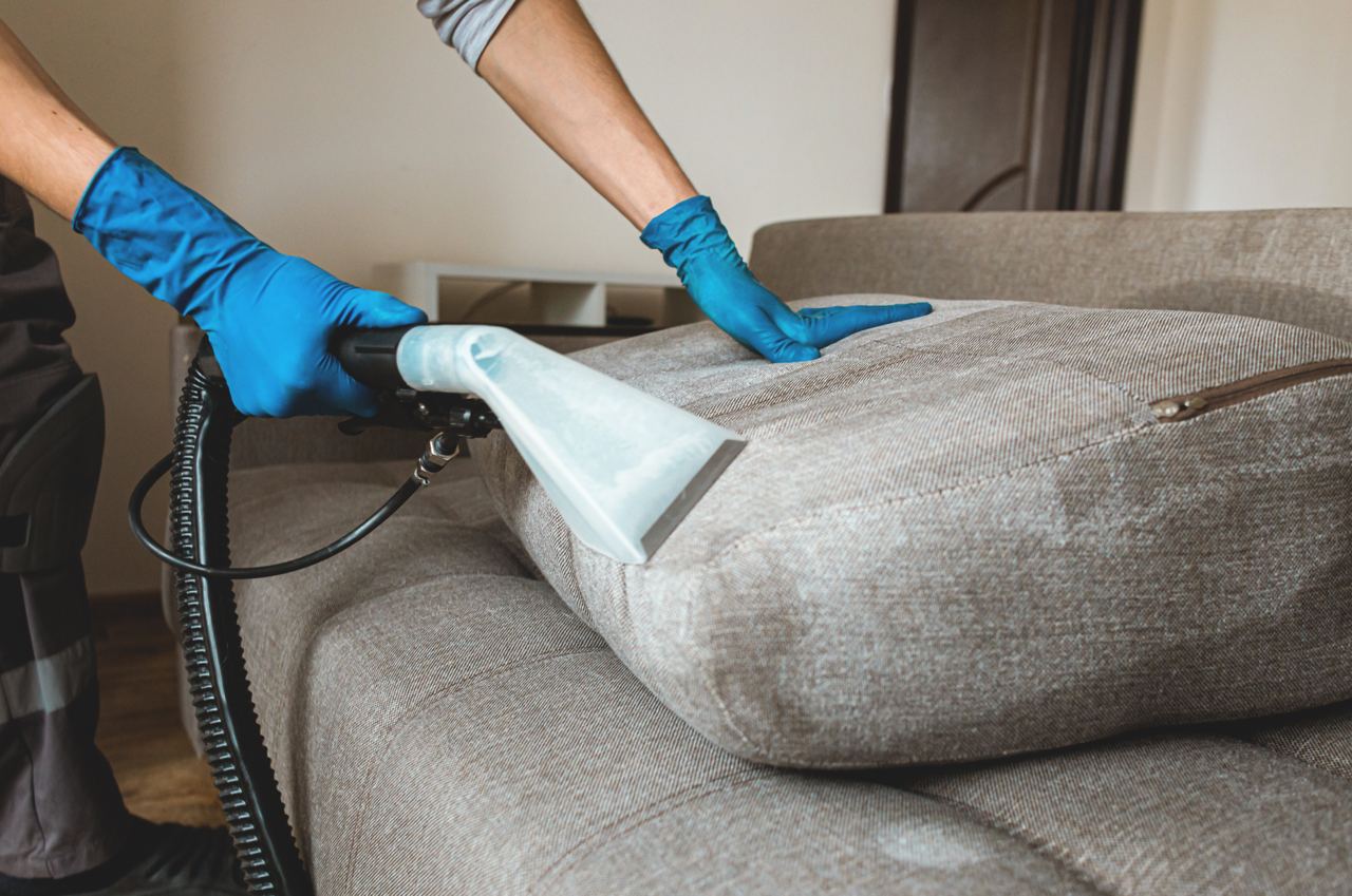 Esta é a frequência correta com que você deve limpar o sofá da sua sala -  Portal 6
