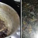 trabalhadores da Ala 2 passaram fome
