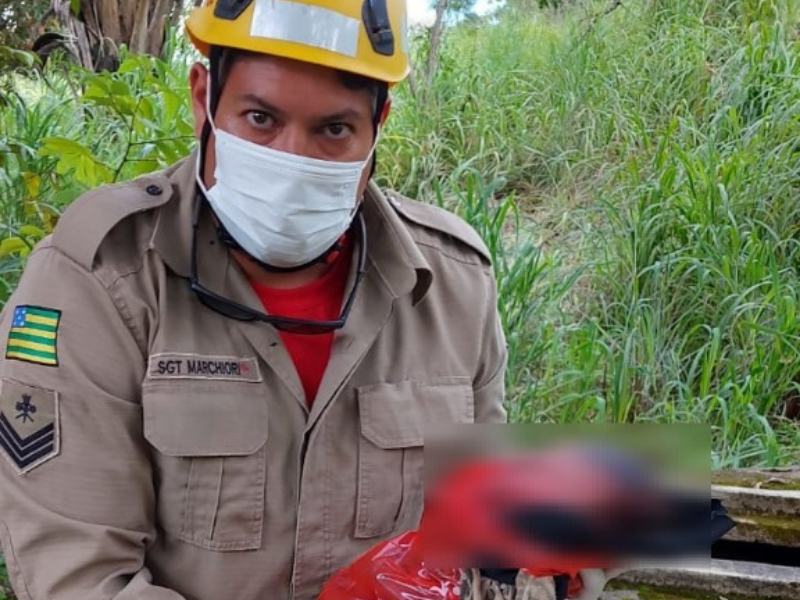 Recém-nascida abandonada em saco plástico é resgatada por Corpo de Bombeiros