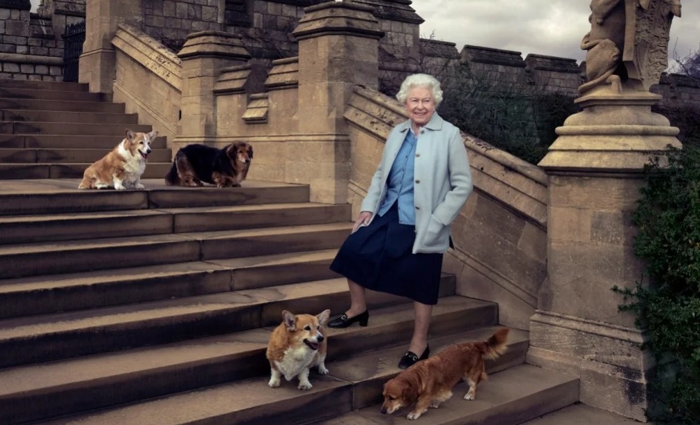 Rainha Elizabeth 2ª já não pode mais passear com seus cães por fragilidade