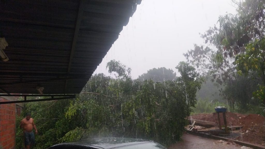 WhatsApp Image 2022-04-10 at 16.51.30