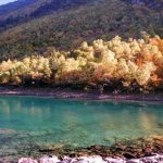 lago9