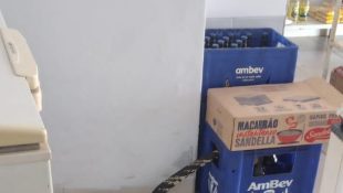 Cobra gigante aparece em caixa de cerveja e aterroriza comércio em Goiás