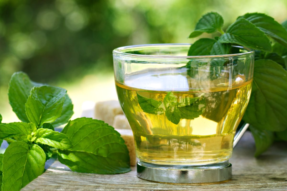 6 benefícios do chá de hortelã que todo mundo deveria conhecer