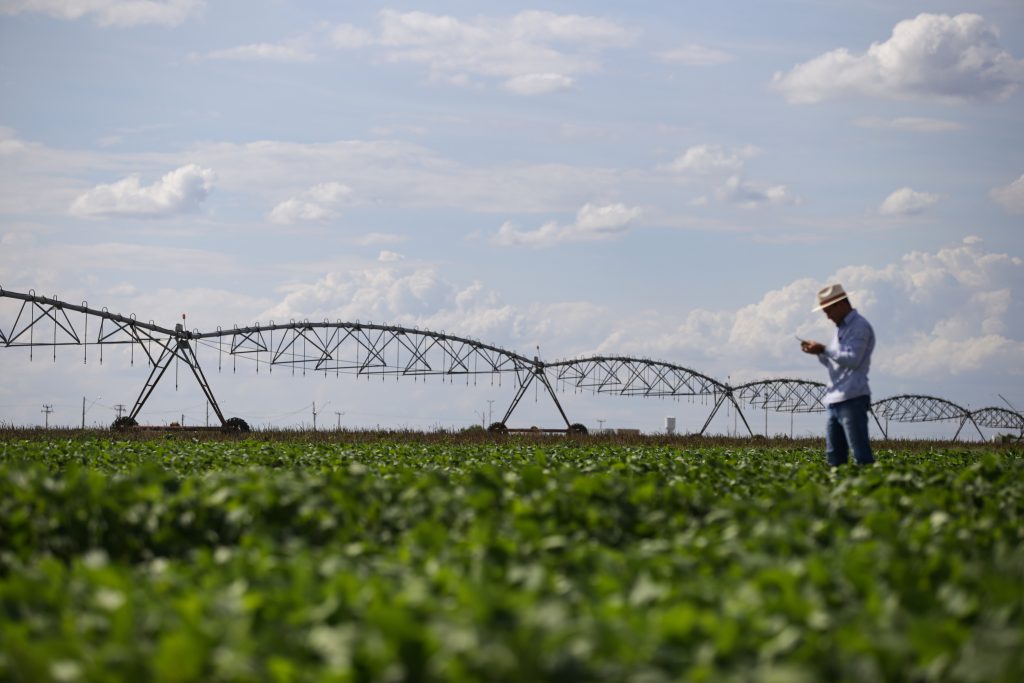 LUIS EDUARDO MAGALHÃES, BA, 05.12.2019 - Produção de soja irrigada em Luís Eduardo Magalhães, no oeste da Bahia; uso de água do aquífero Urucuia preocupa especialistas. Centro de Pesquisa e Tecnologia do Oeste Baiano realiza estudos com uso de pivô de irrigação em terras destinadas à soja no Matopiba. Uso da água na região preocupa especialistas em recursos hídricos no Brasil, pelo elevado uso de águas do aquífero Urucuia para irrigação.