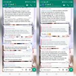 Prints Pais alunos Escola Gente Miuda Crescer