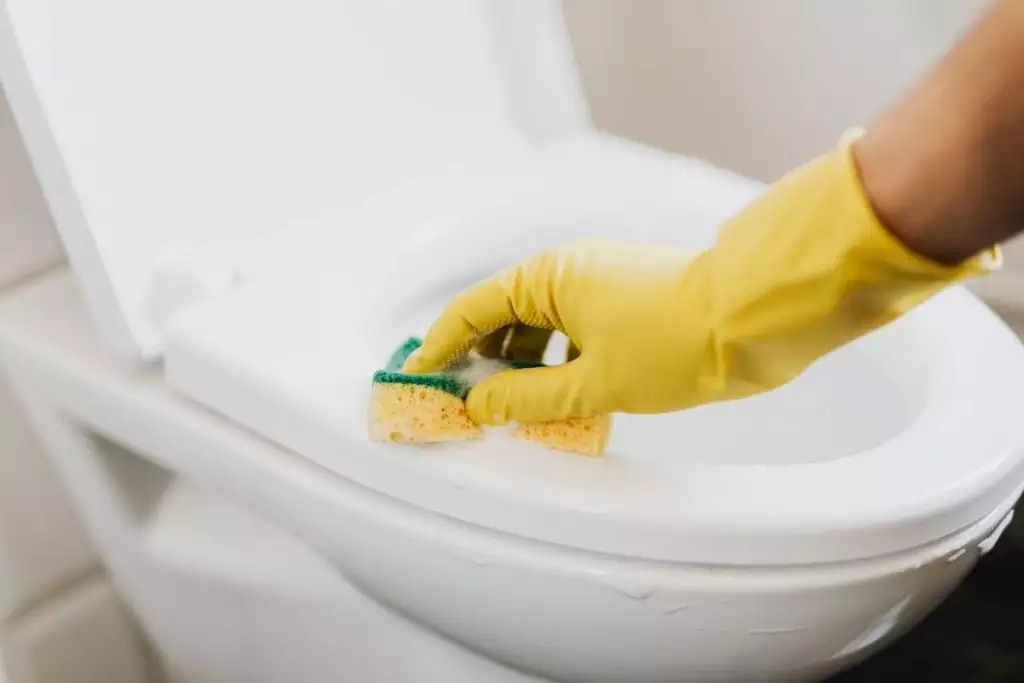 Esta é a melhor maneira de limpar o vaso sanitário e pouca gente conhece