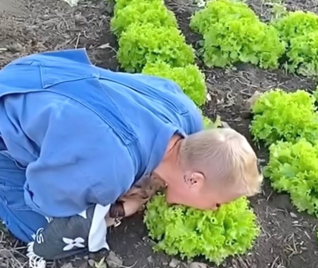 Xuxa posta vídeo comendo alface diretamente do pé: ‘Vegano raiz’