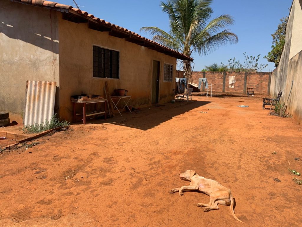 Homem se muda para o interior de Goiás e abandona cachorrinha trancada sem comida e água