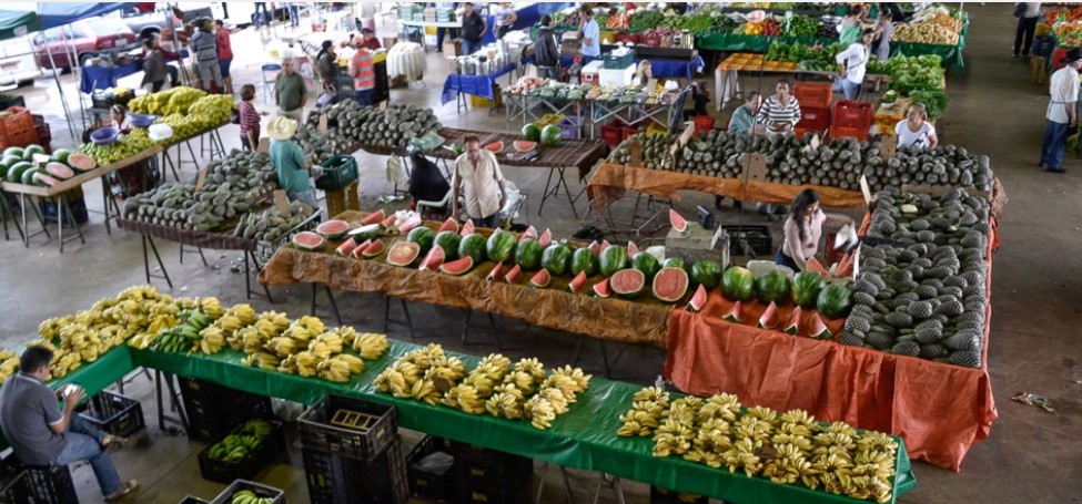 Qual sua feira e sua banca preferida em Anápolis?