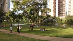 Os melhores parques da capital goiana para passar a tarde, descansar e curtir com a família